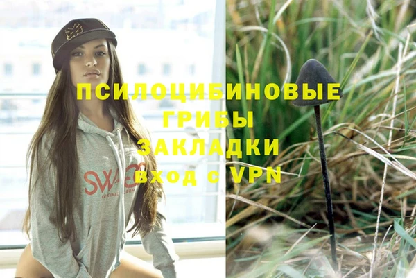 молекула духа Армянск