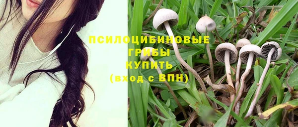 кокс Аркадак