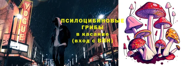 трава Арсеньев