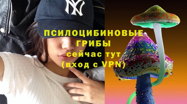 молекула духа Армянск