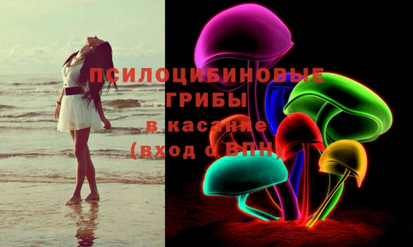 трава Арсеньев