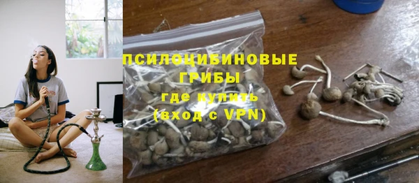 прущая мука Сясьстрой