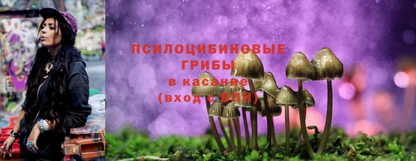 молекула духа Армянск