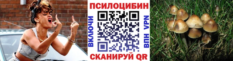 Галлюциногенные грибы Psilocybe  ОМГ ОМГ вход  Нижний Новгород 